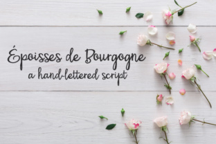 PN Époisses De Bourgogne: A Handwritten Font for Bold Branding